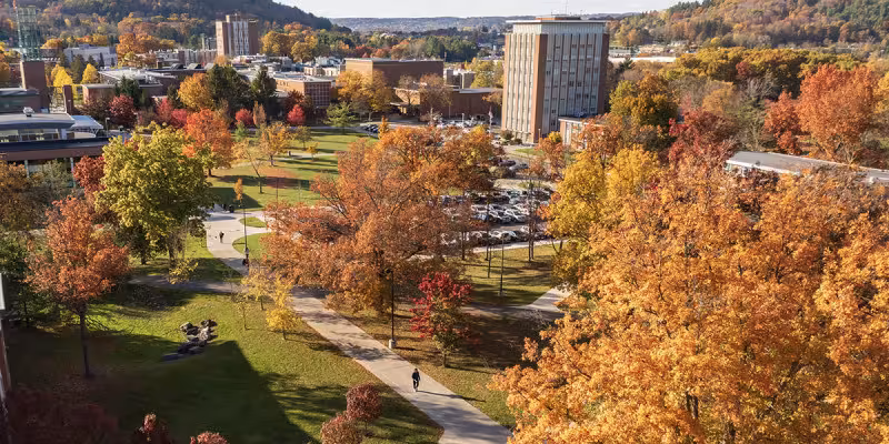 26 Binghamton researchers named among top 2% of scientists