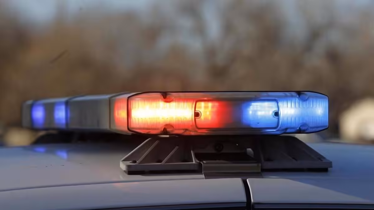 6 Manatee County crime cases to know from this week