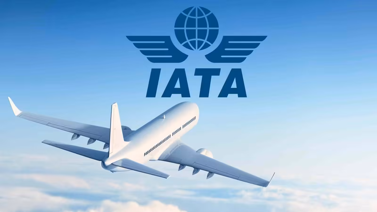 Air Demand Fell in August, Says IATA