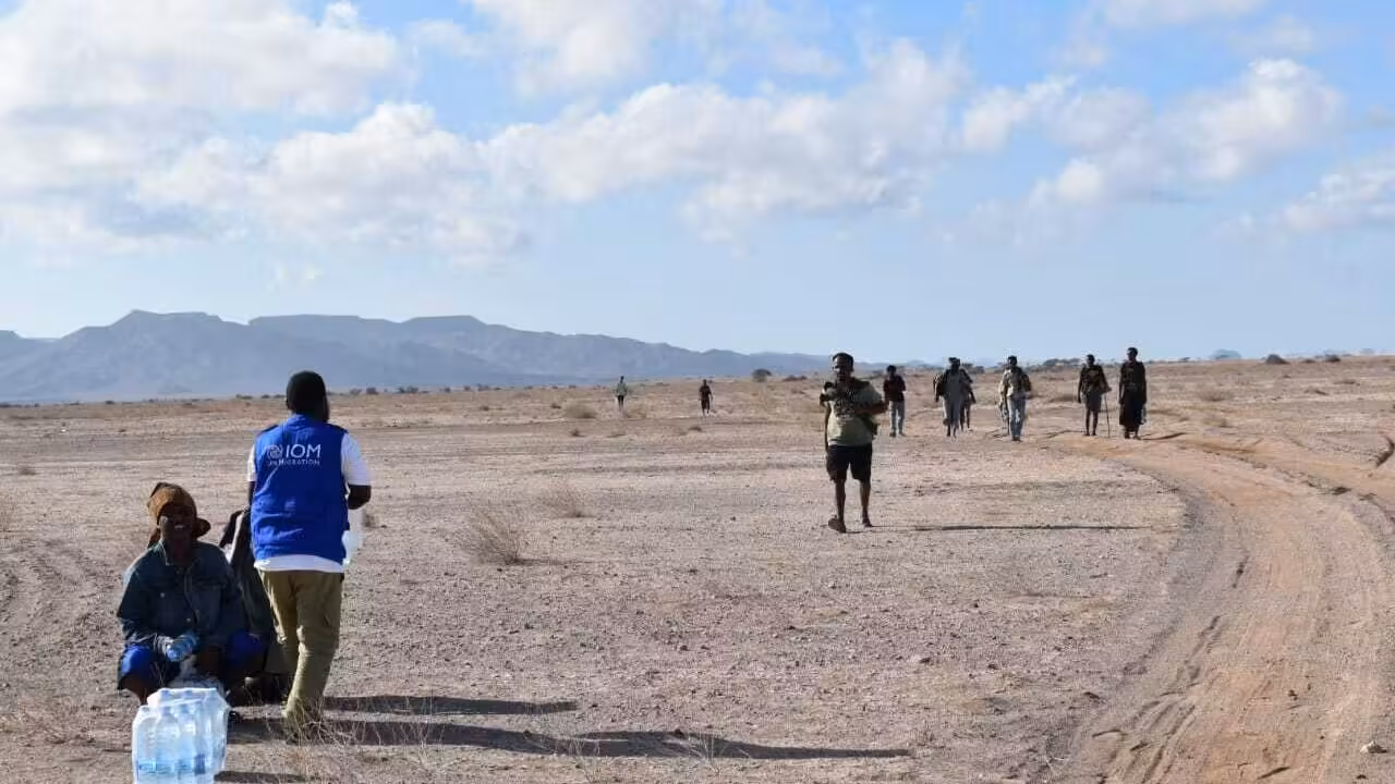 At least 139 migrants dead, more than 84 missing after boat capsizes off Djibouti