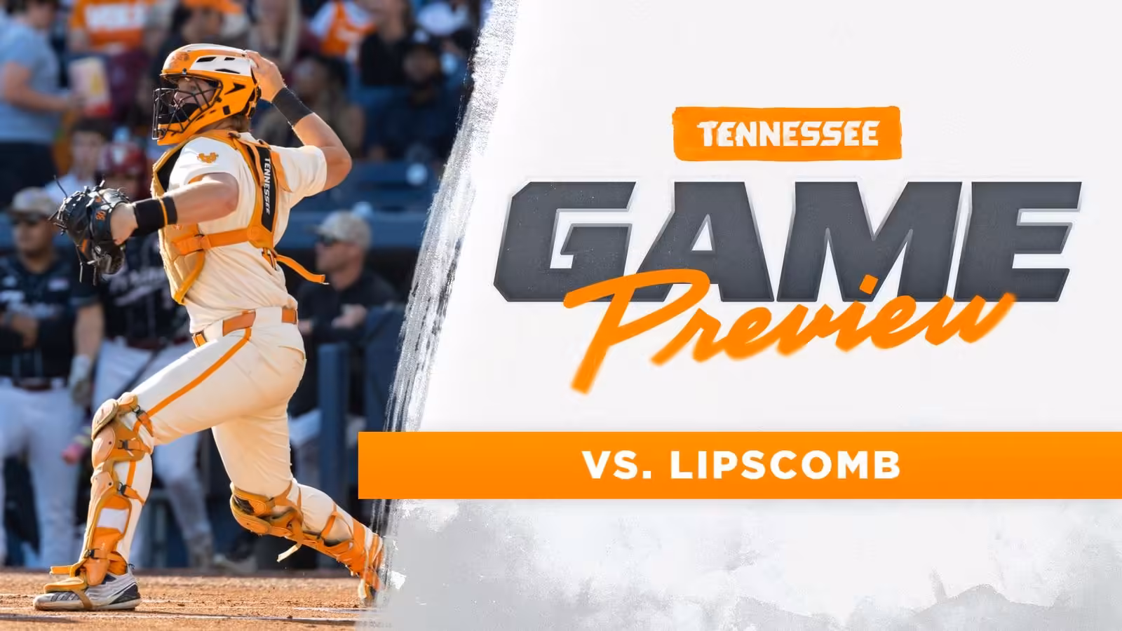 BSB PREVIEW: Vols Welcome Lipscomb to Knoxville for Exhibition at Covenant Health Park