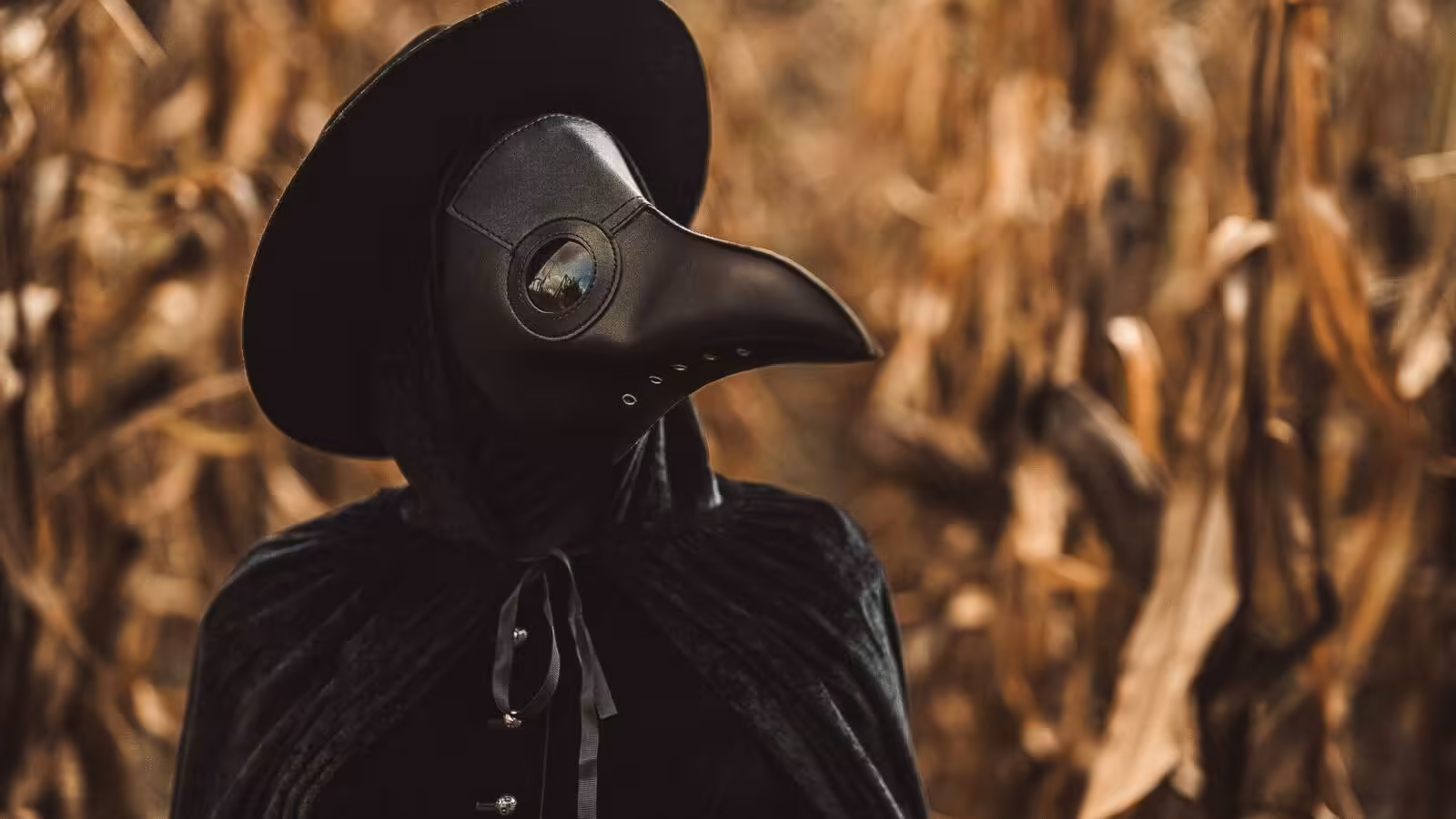 Black Death had dramatic effect on species diversity as humans abandoned farmland, study finds