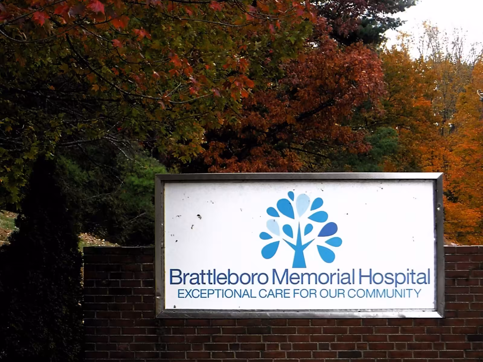Brattleboro Memorial Hospital promotes its financial consultant to post of interim CEO