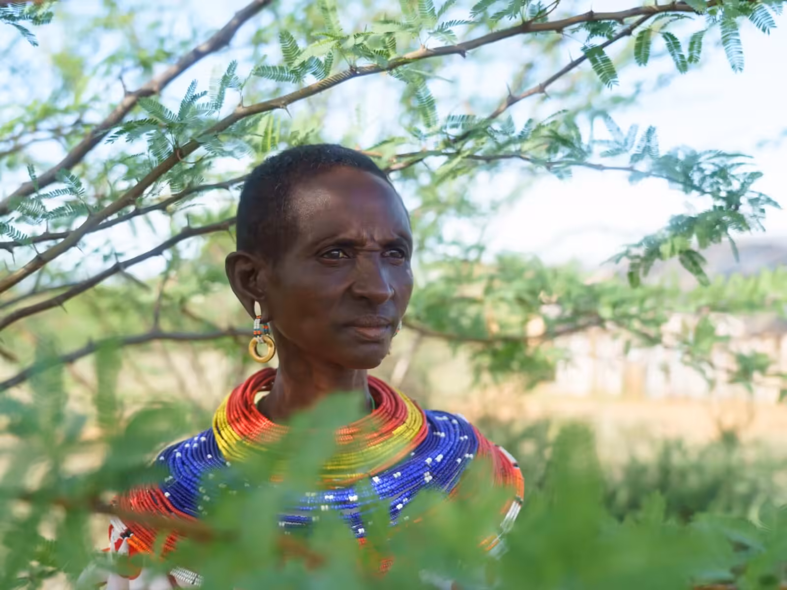 Britain’s military in Kenya: Allegations, immunity and a fight for justice | Human Rights