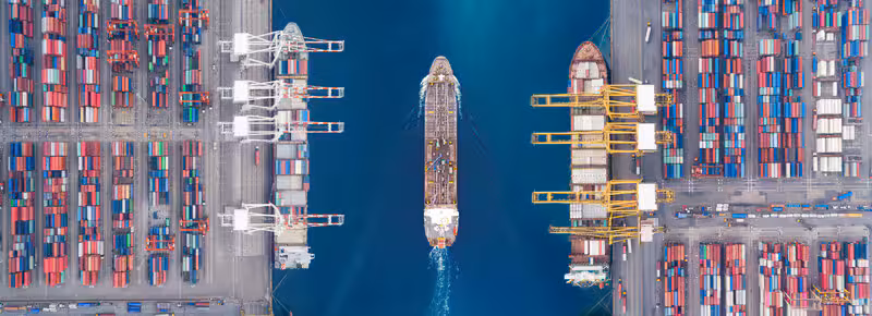 Building supply chain resilience for companies and economies
