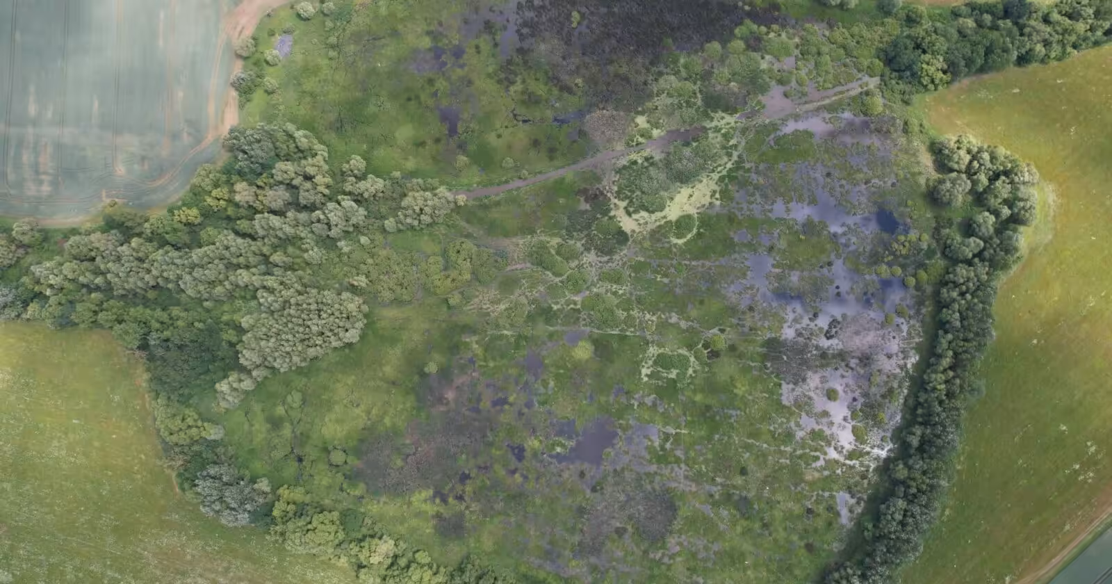 Can conservation finance itself? A Paraguayan enterprise is exploring new possibilities in the Atlantic Forest