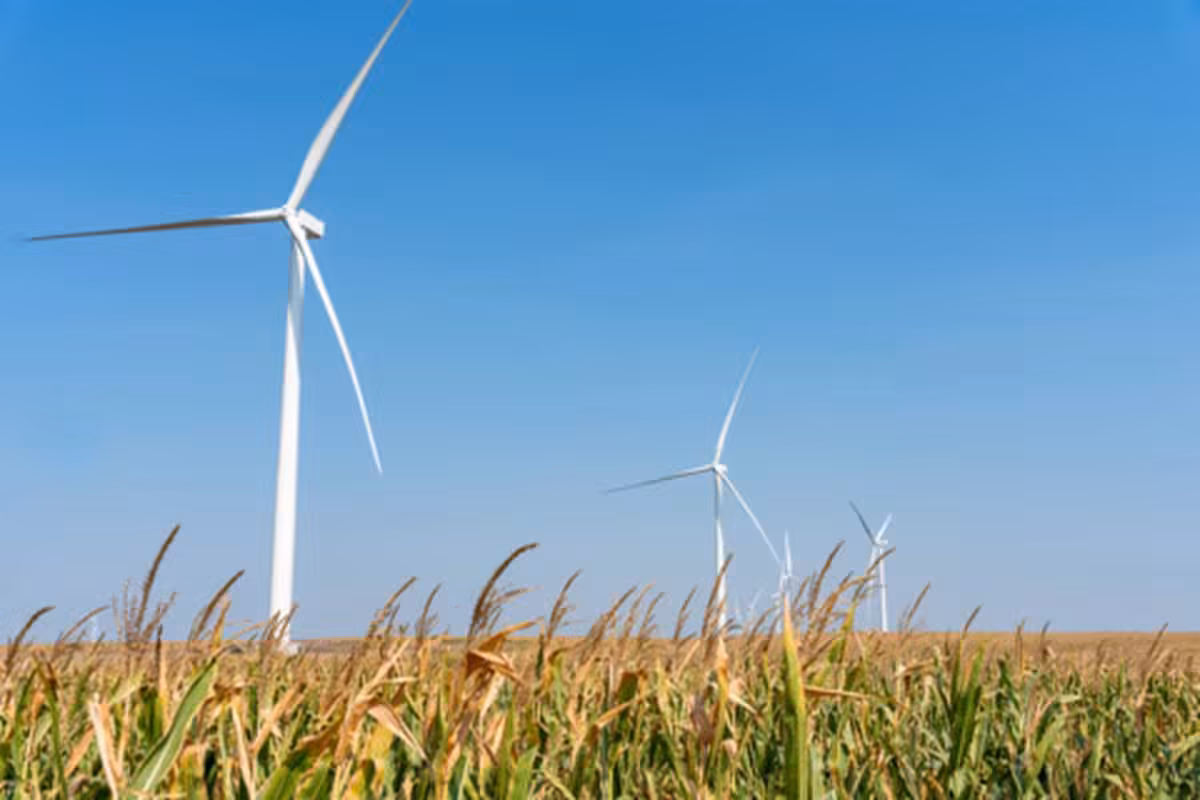 Cargill Expands Renewable Electricity Portfolio in the Central United States