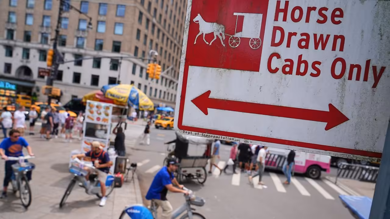 Carriage drivers rally against ban ahead of council vote
