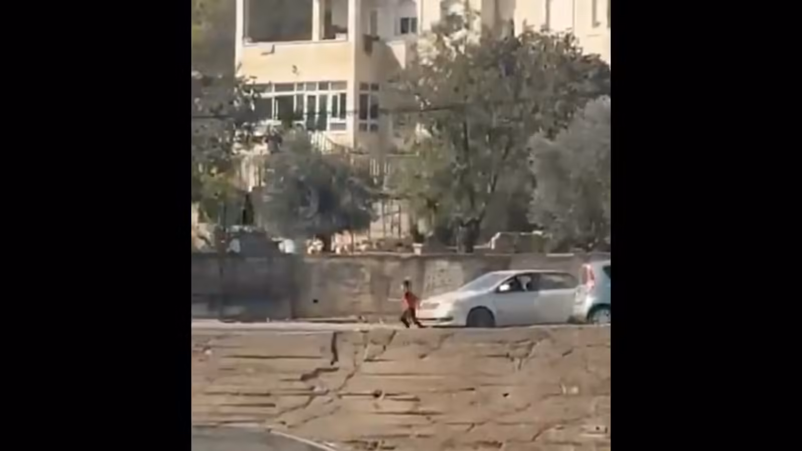 Child flees as Israeli settlers hijack car during pogrom | Conflict News