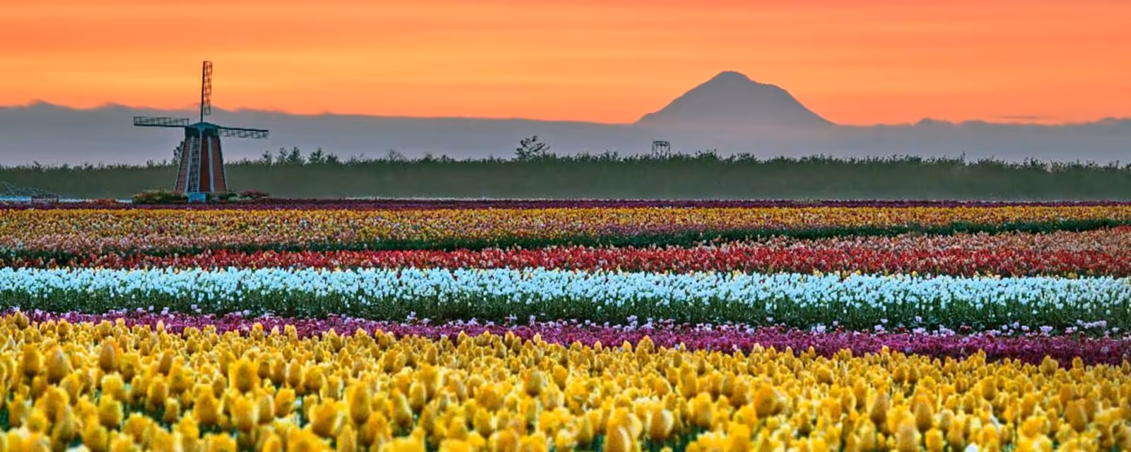 Clackamas County awards $1 million in grants to support local tourism businesses
