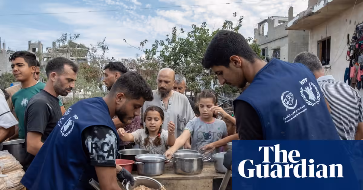 Cuts force World Food Programme to end support for half a million Palestinians in Gaza | Gaza