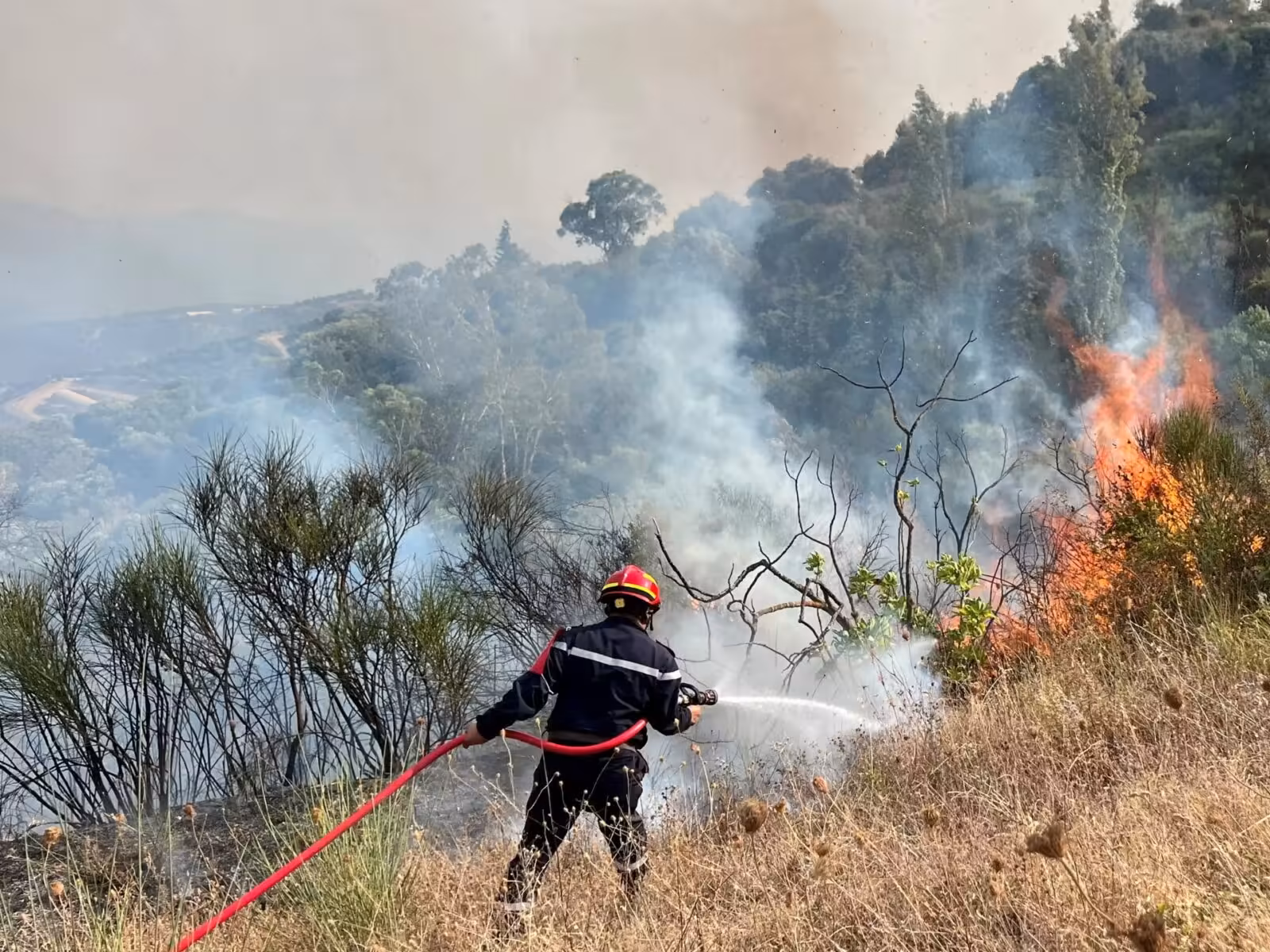 Death penalty bill for forest arsonists clears Algeria lower house | Human Rights News