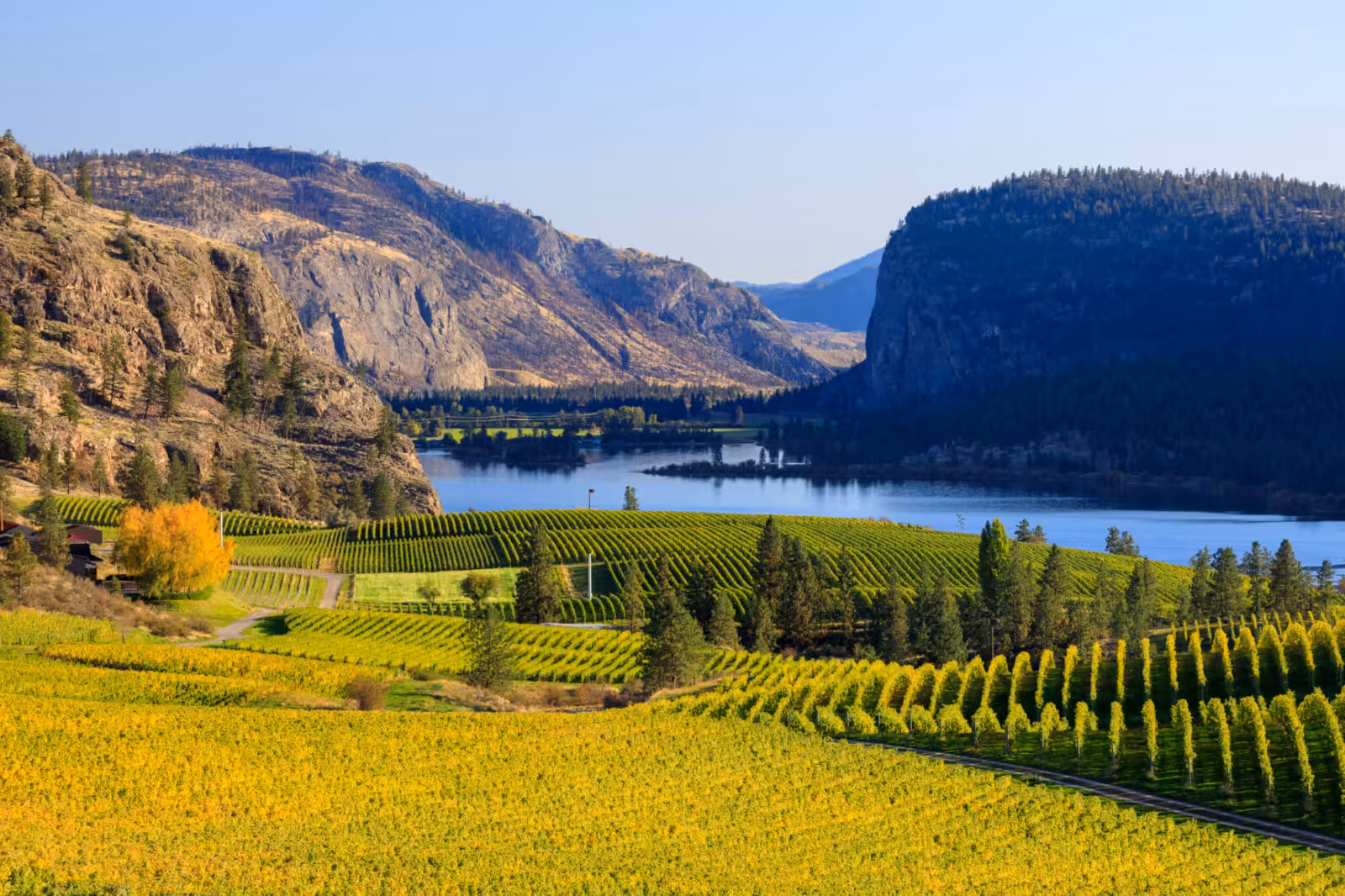 Farm Credit Canada eyes private capital partnerships for C$1bn fund
