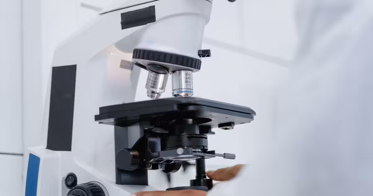 Florida’s proposed science standards sideline evolution and climate change