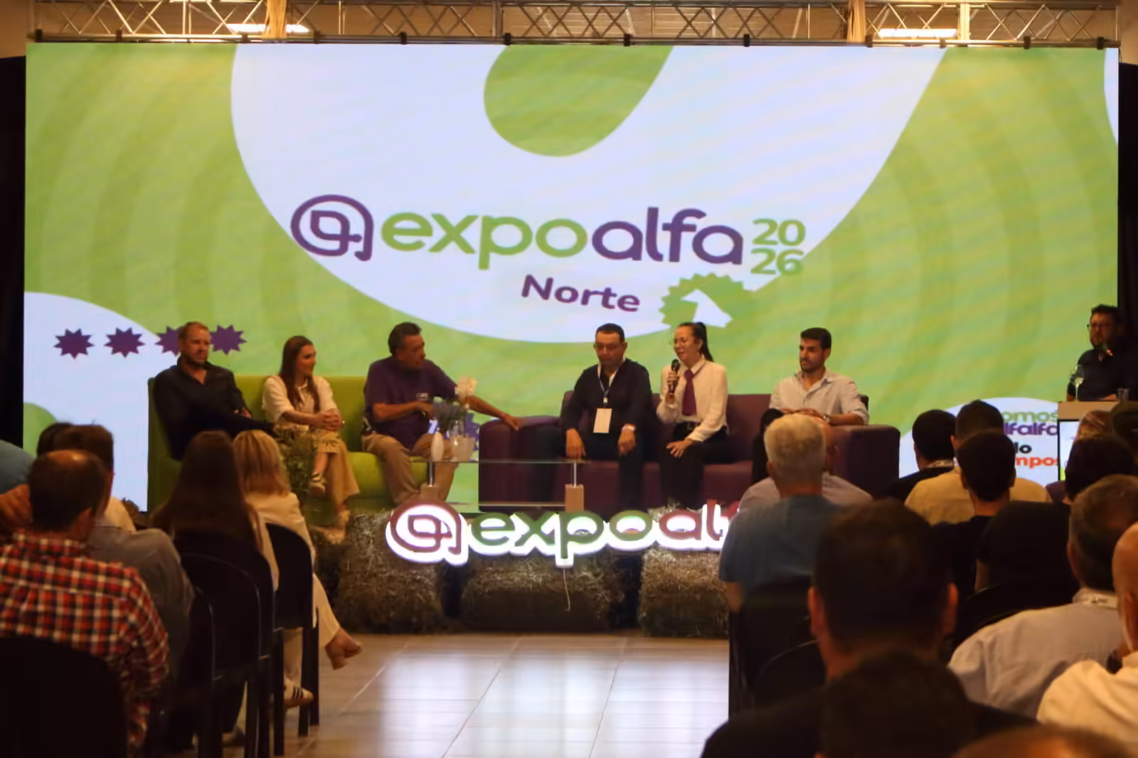 From 5 to 700 hectares: Producers explain the keys to successfully producing and exporting alfalfa