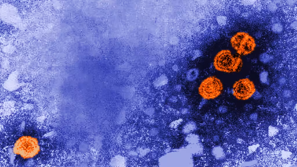 GSK, hep B, Inmatics cancer therapy, Mark Cuban: The Readout