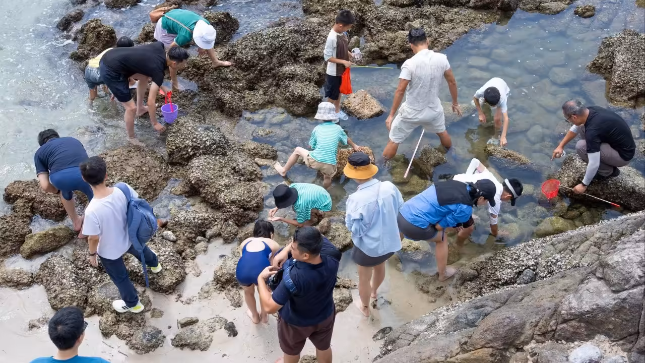 Greenpeace catches Hong Kong geopark ‘golden week’ visitors damaging marine life