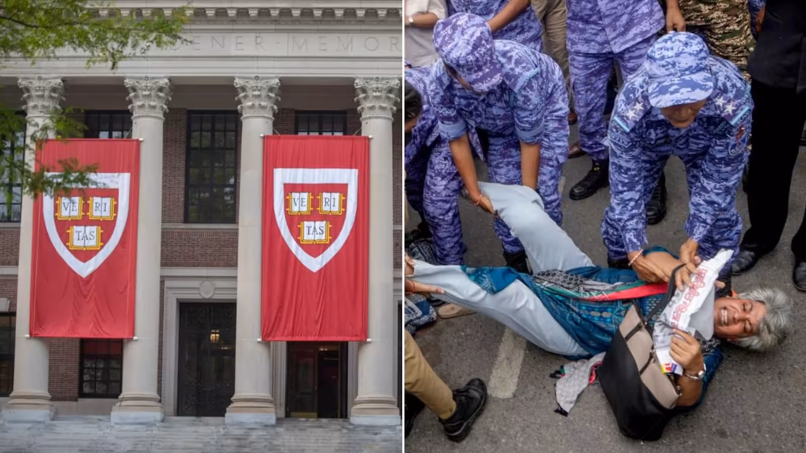 Harvard vs Harvard: A Tale of 2 Letters And 2 Opinions On Delhi Protest CJP Jantar Mantar