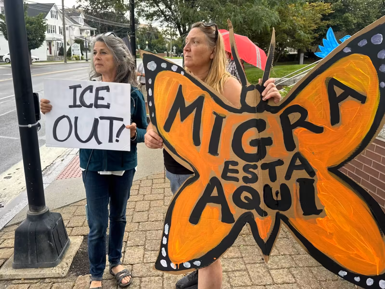 ICE tactics spark debate before pivotal US midterm elections | Donald Trump News