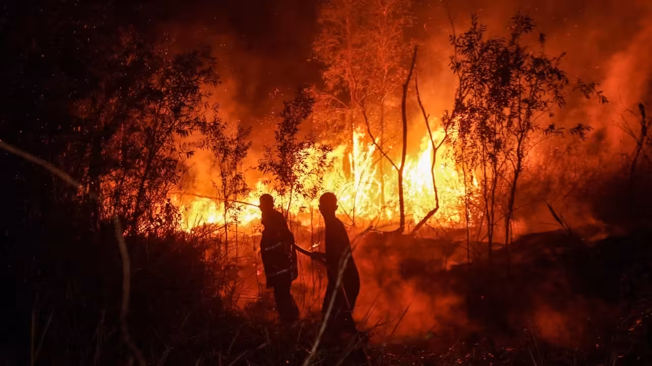 Indonesian governor’s Singapore trip adds fury to forest fire, haze crisis