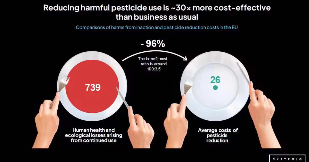 Invisible Ingredients - Tackling toxic chemicals in the food system