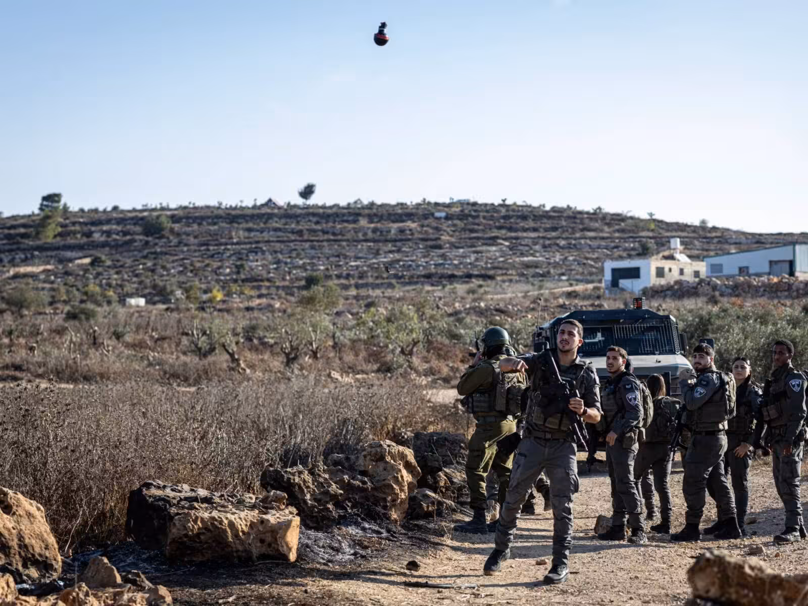 Israeli settlers attack European diplomats during West Bank olive harvest | Israel-Palestine conflict News