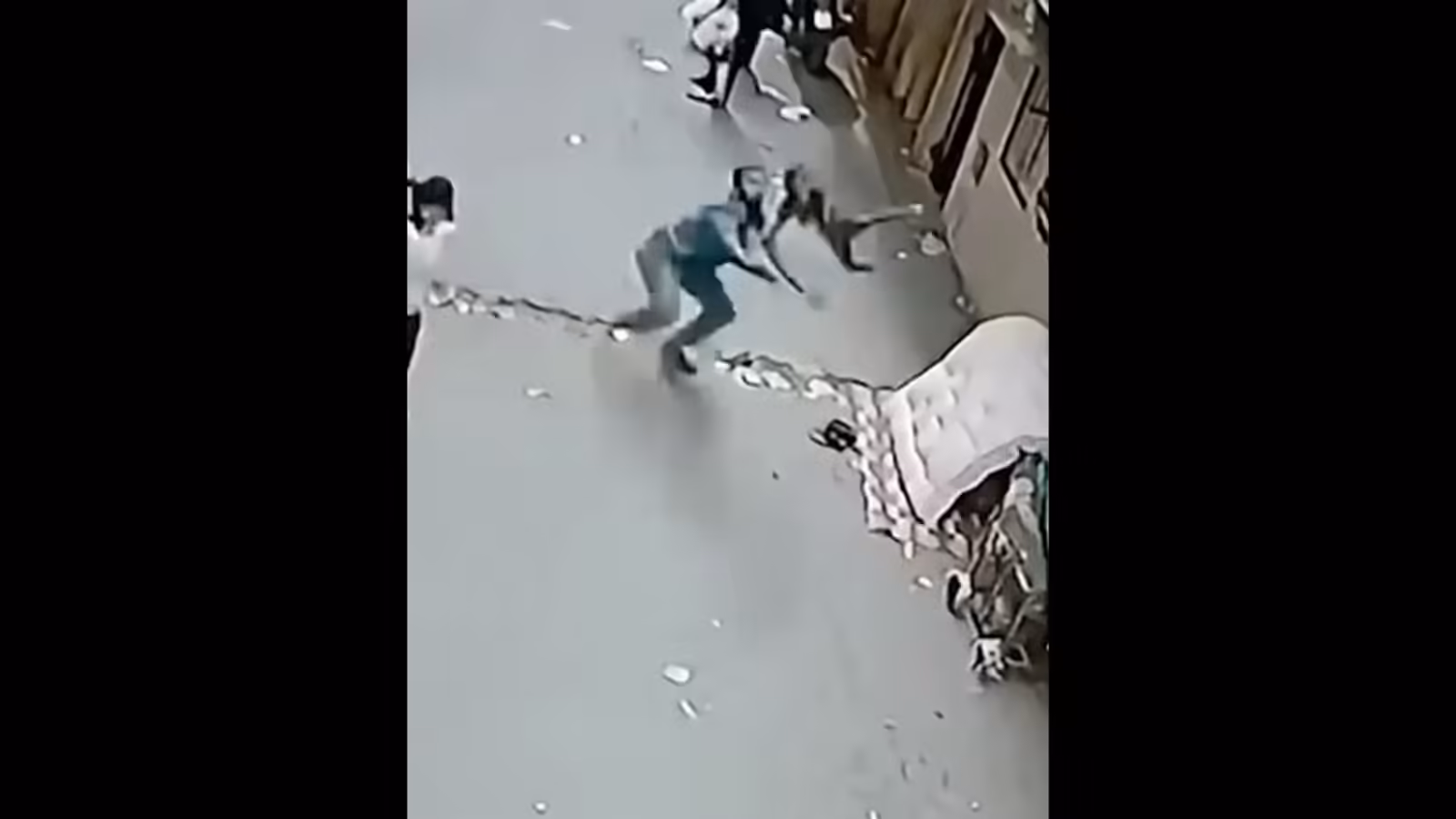 Man’s miraculous catch saves child after balcony fall in Egypt | News