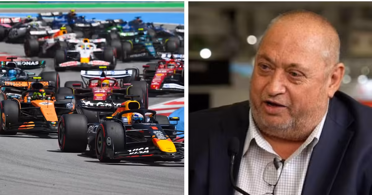 Mining tycoon plans to spend $402 million turning his 600 hectares of farmland into a Formula 1 circuit as South Africa eyes a return after 38 years
