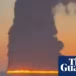 Africa’s wildlife population plunges by 80 percent in five decades, WWF warns