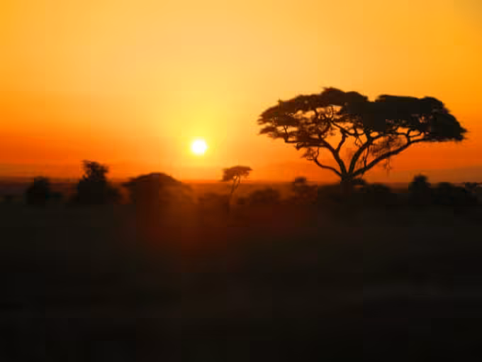 New Report Says Africa Needs A Selective Approach To CDR