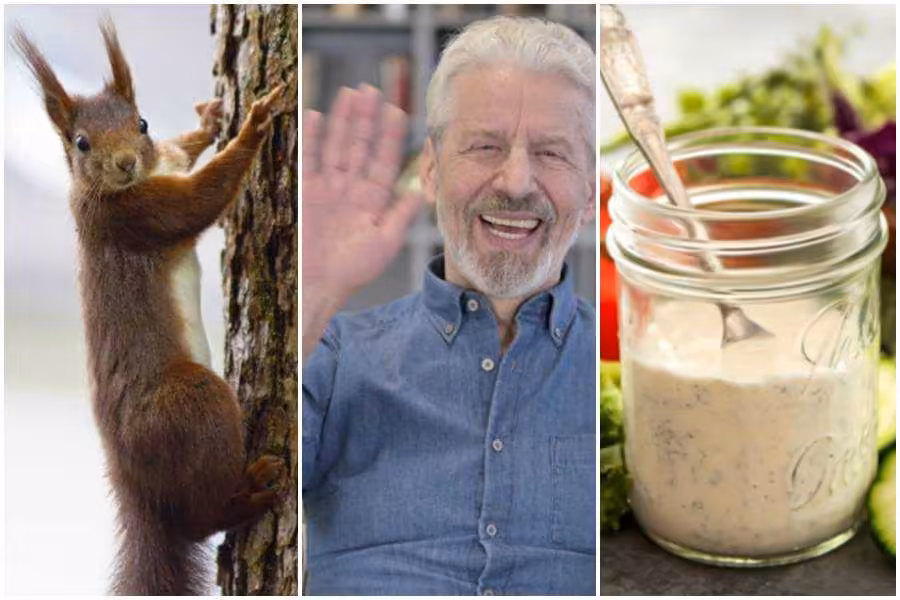 Non-Americans share the 15 strangest things they didn't expect when visiting the United States