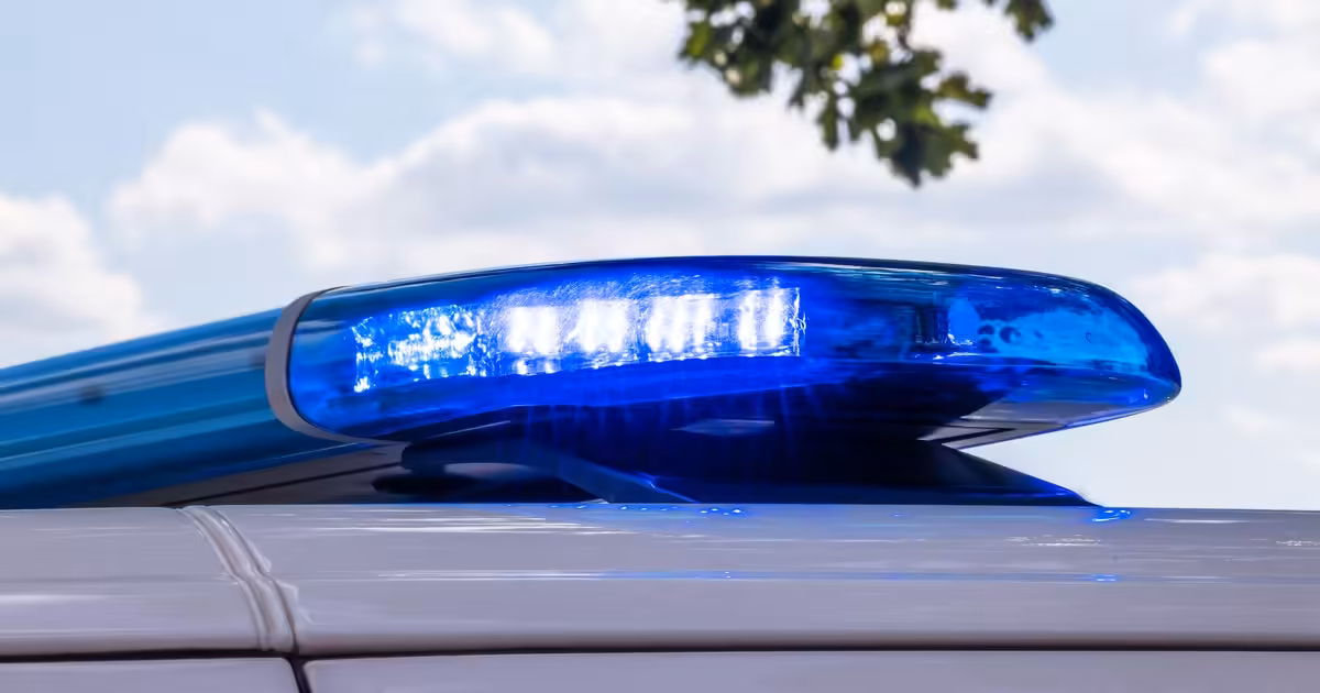 Police issue warning after at least five cars damaged in West Town