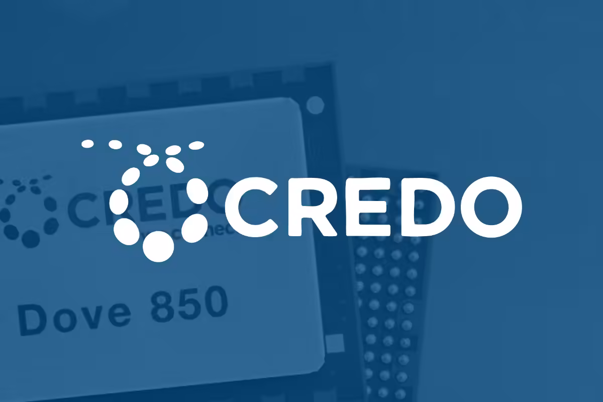 Prediction: $5,000 Invested in Credo Technology Could Be Worth This Much by 2029