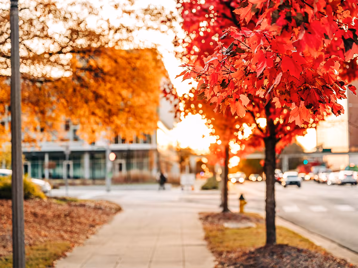 Protect your heart health: Tips for the fall time change from UAB expert