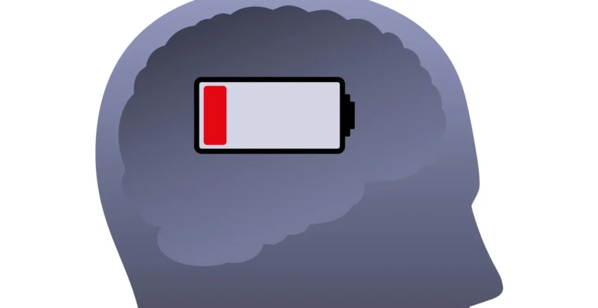 REM sleep paradox: Dreaming may drain the brain’s energy even as fuel supply rises