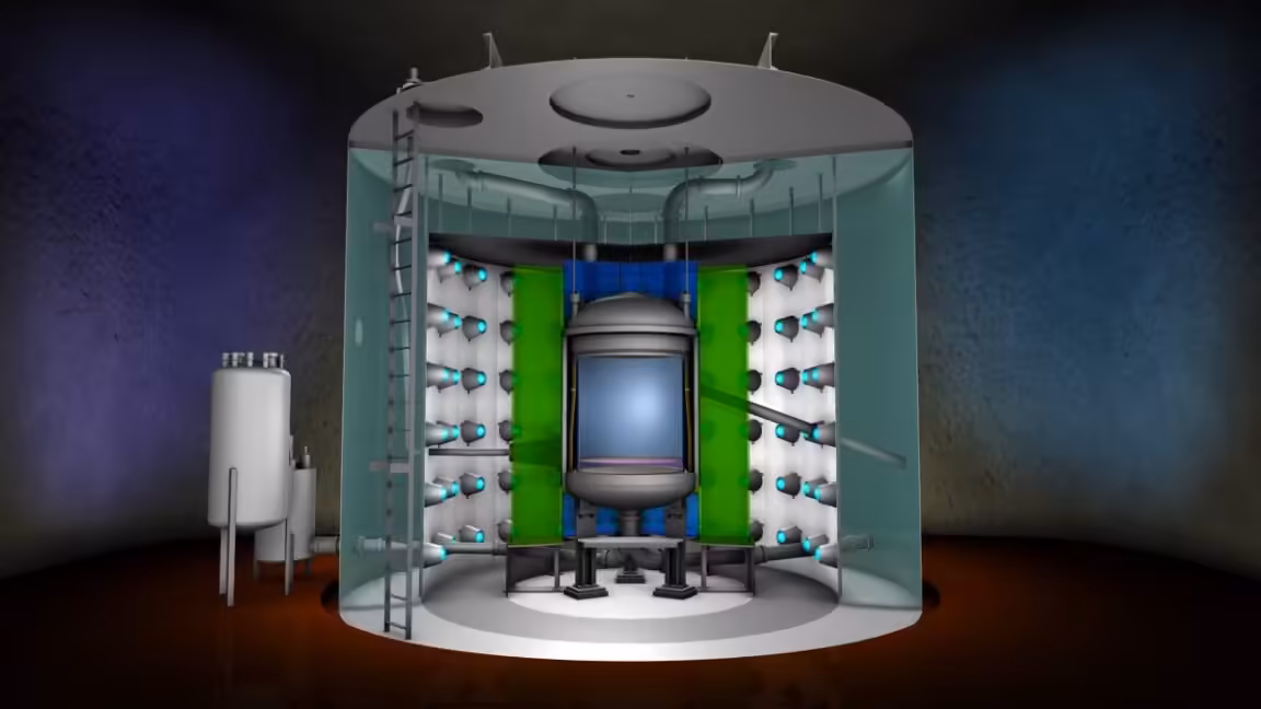 Research roundup: 6 cool science stories we almost missed