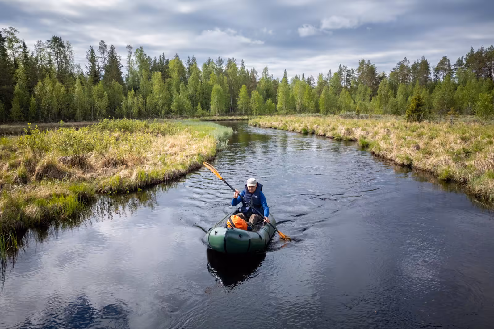 Rewilding tourism: how travel can support nature recovery