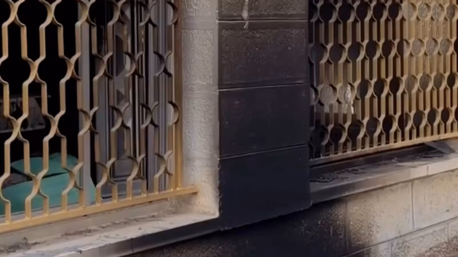 Settlers attack Palestinian mosque near occupied East Jerusalem | News