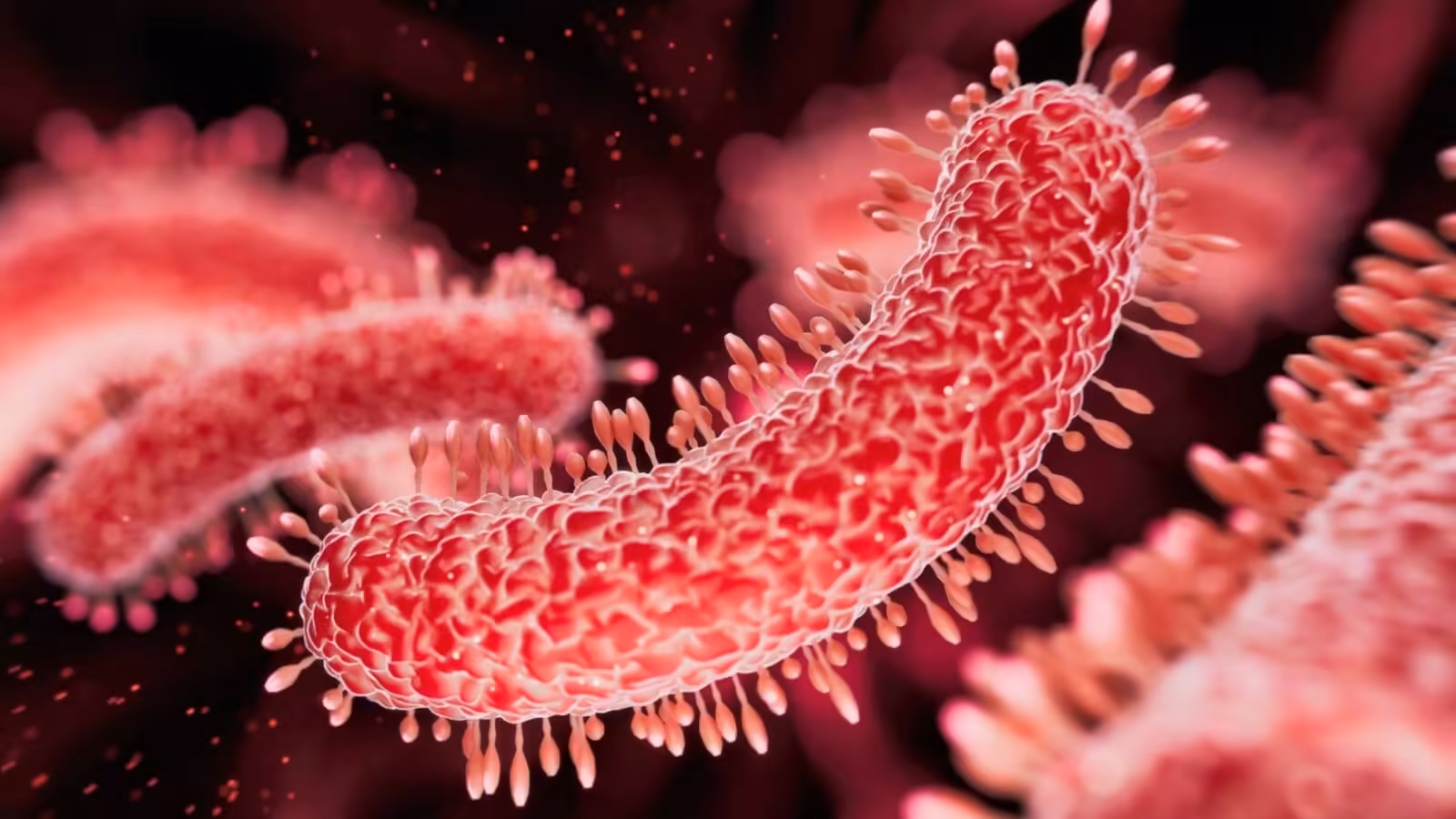 Sexually Transmitted Diarrhea Is Exploding in The US. And It's Growing Resistant to Medicine : ScienceAlert