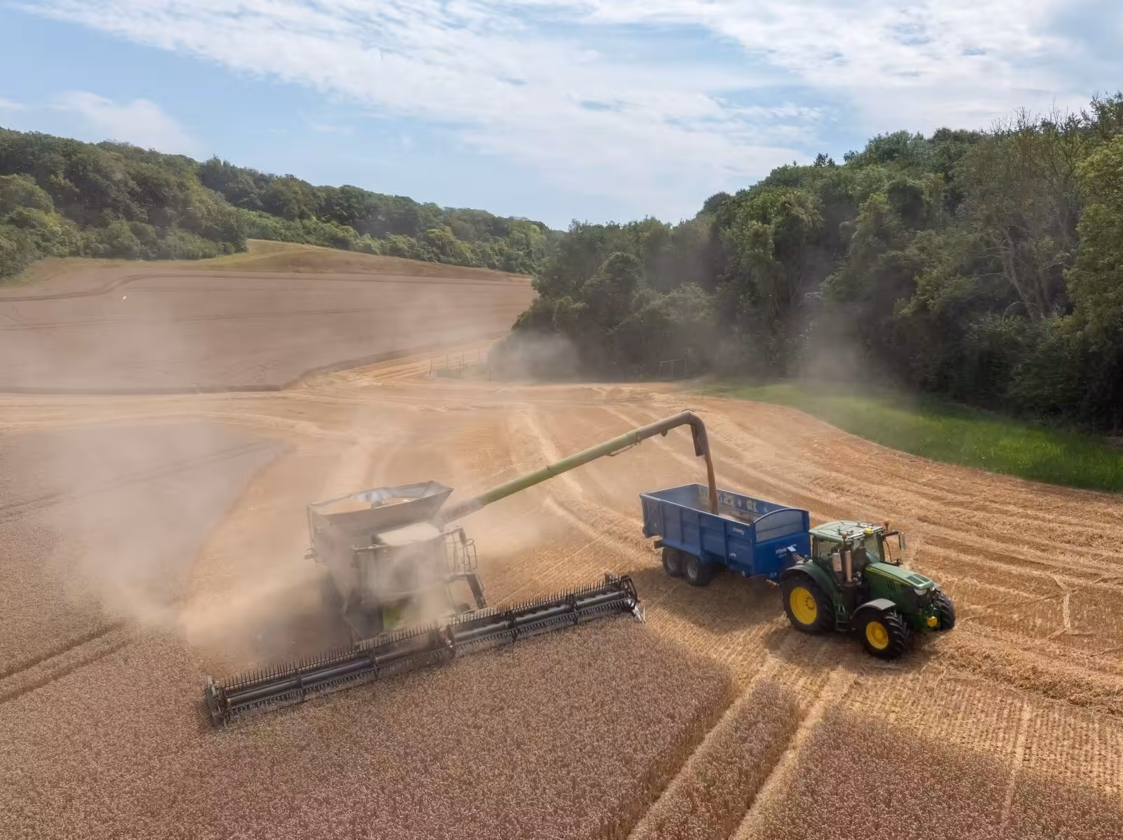 South Africa Faces Smallest Wheat Harvest in Eight Years