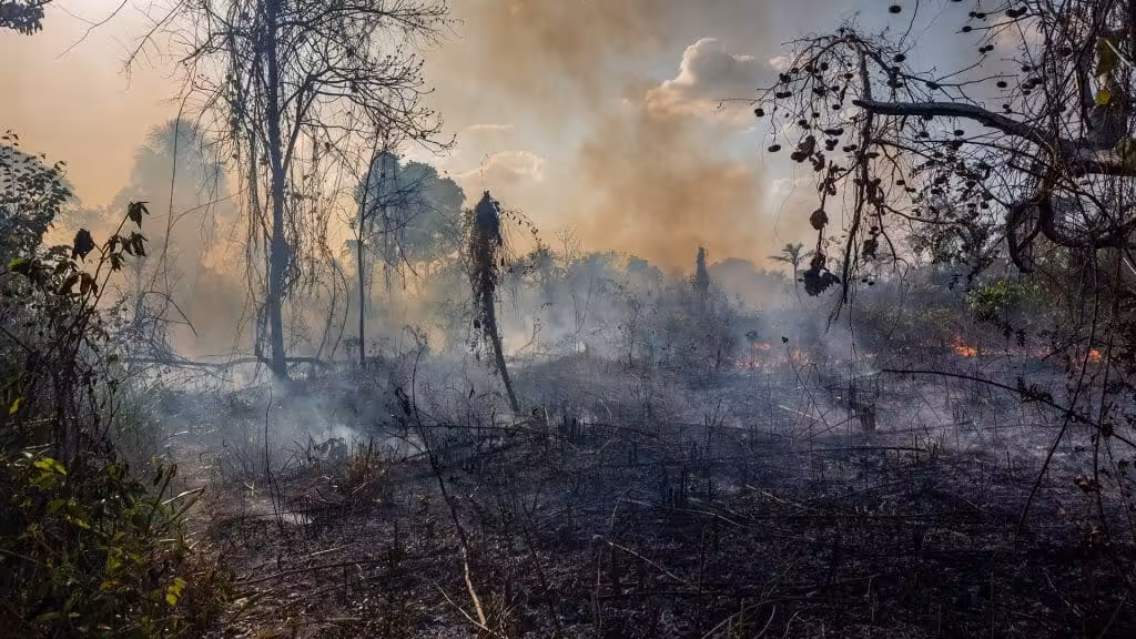 Tackling environmental crime from space