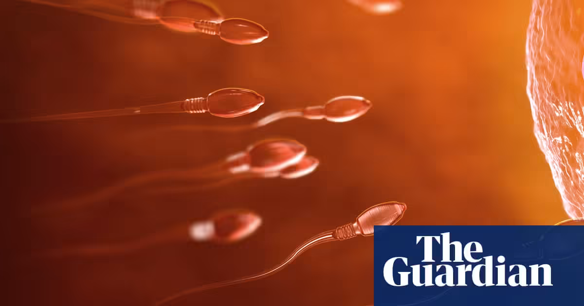 Teenager becomes first person to have testicular tissue transplant in UK | Men's health