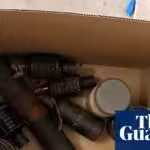 The business behind environmental looting in Central America: IPS News Agency