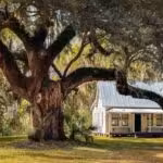 The zero-bills home: how one family is beating the energy price hikes | Renewable energy
