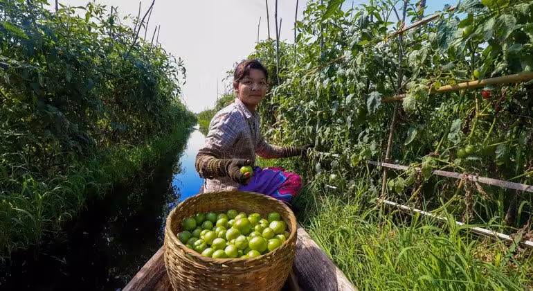 The world is waging a ‘war on nature’ as progress on biodiversity targets lags