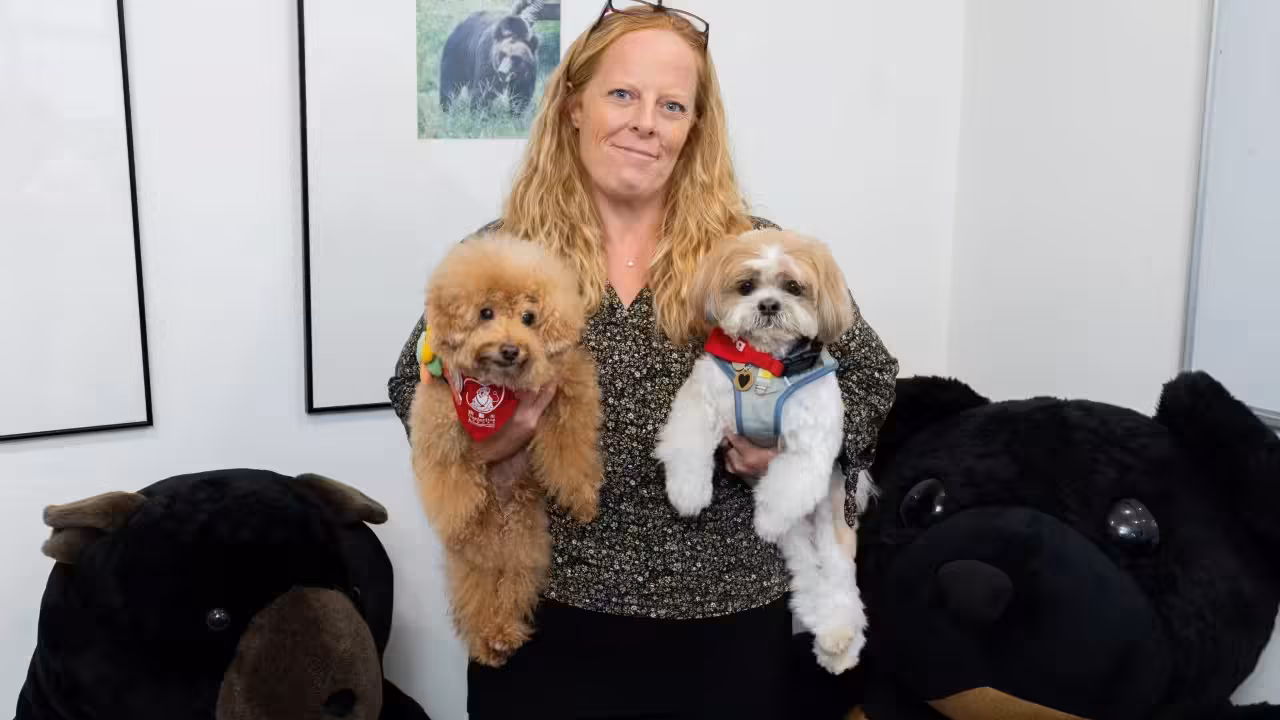 Therapy dogs in high demand: Hong Kong programme booked out until February 2027