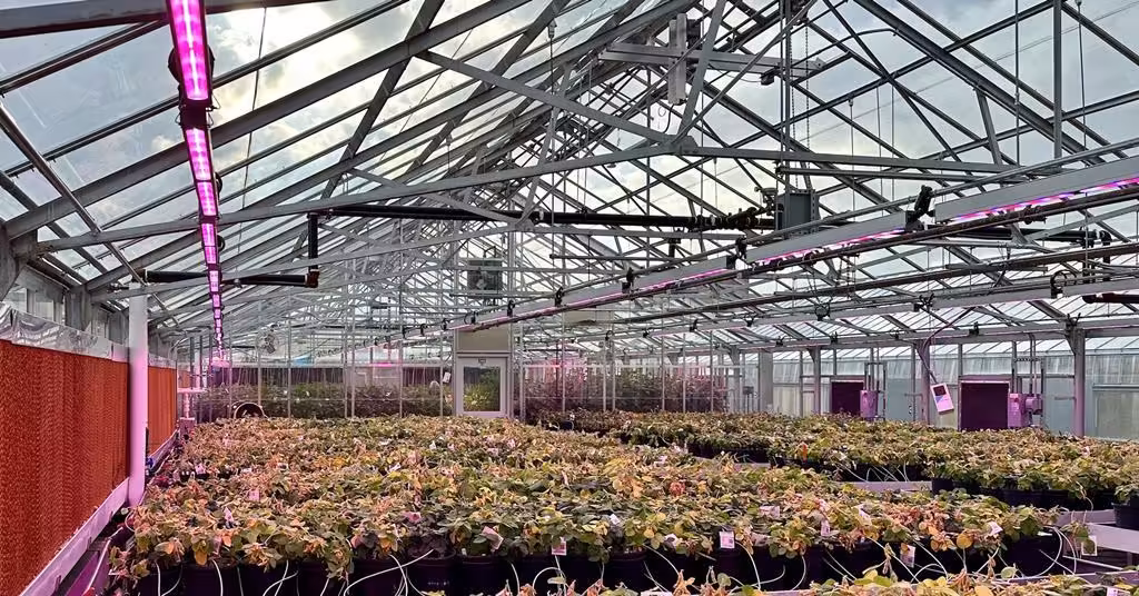USDA awards $16.2mn to Michigan State University for plant science greenhouse upgrades