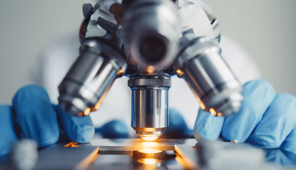 Why Nancy Cartwright Says Science Has No Fundamental Laws
