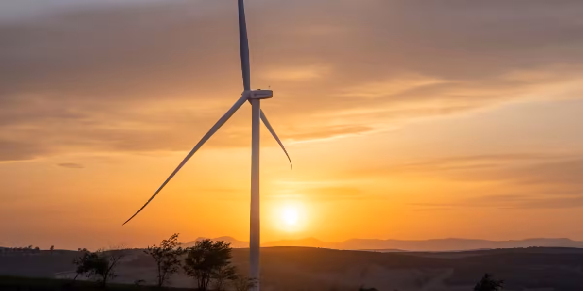 Why we’re watching these climate tech companies