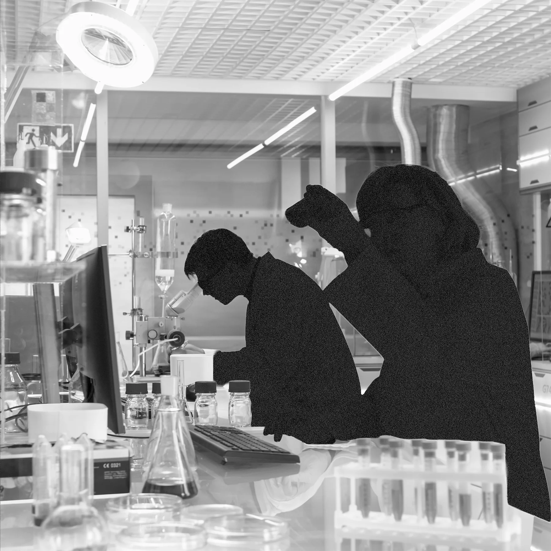With Science Funding Cuts, US Risks Future Talent Drought